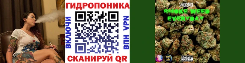 OMG вход  Грязовец  Шишки марихуана MAZAR 